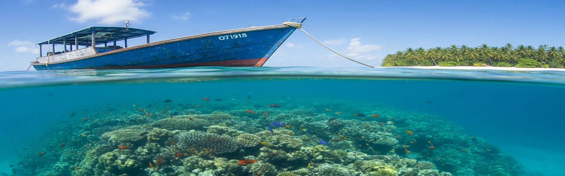 Split underwater photo of coral reef and boat in Komodo waters